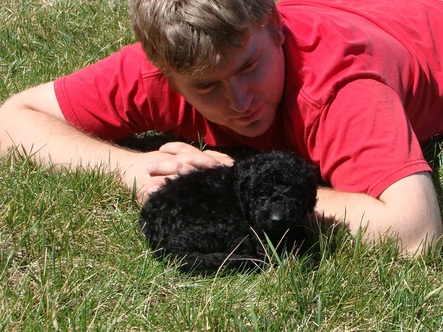 Picture